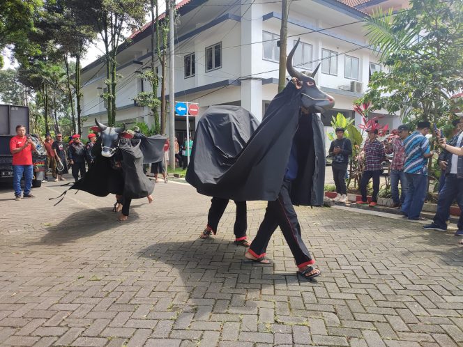 
 Kesenian bantengan mengiringi pendaftaran Bacaleg PDI Perjuangan Kabupaten Malang. (bacamalang/Dhimas)