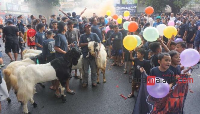 
 Warga Kidul pasar, klojen Kota Malang mengarak hewan kurban menuju Masjid Noor, Selasa (29/6/2023). (Nedi Putra AW)