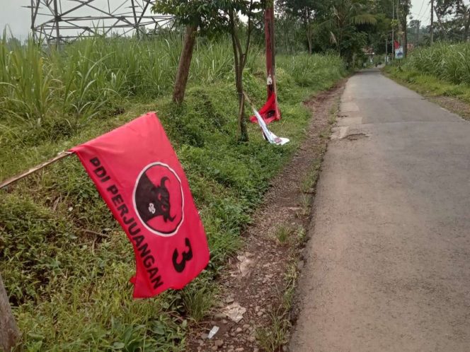 
 Bendera PDI Perjuangan dirusak oknum tidak bertanggung jawab di ruas Jalan Desa Argosari Kecamatan Jabung. (ist) 