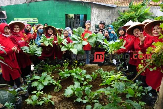 
 Kegiatan pertanian perkotaan atau Urban Farming di wilayah RW 01, Kelurahan Lowokwaru, Kota Malang. (Nedi Putra AW)