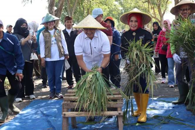 
 Pj. Wali Kota Batu bersama Forkopimda dan Kelompok Tani, saat tengah melaksanakan kegiatan panen raya padi di Desa Pendem. (Yan)