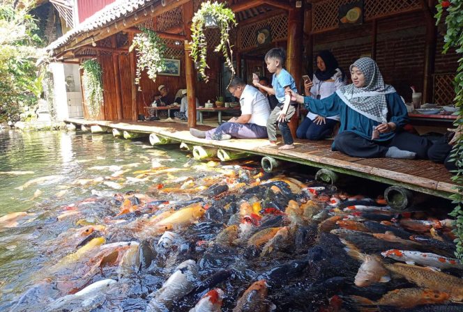 
 Pengunjung Waroeng Bambu, saat tengah memberi makan ikan koi sembari menunggu pesanan datang. (Yan)