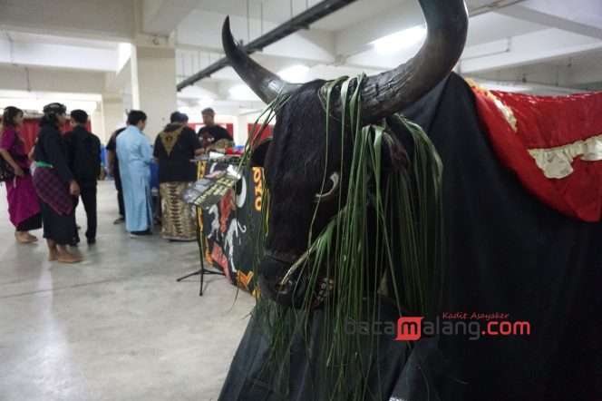 
 Seni tradisional Bantengan memeriahkan Festival Kampung Pecinan sebagai  bagian dari rangkaian acara spesial Dies Natalis ke-17 Universitas Ma Chung, Jumat (27/7/2024). (Nedi Putra AW)