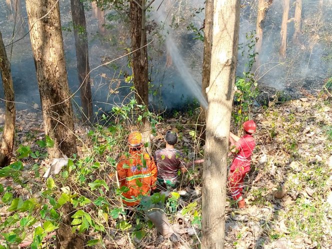
 Pembasahan di Kawasan Hutan Jati Gunung Geger, Desa Sumberejo, Kecamatan Pagak, Kabupaten Malang, yang dilalap api. (Dok BPBD)