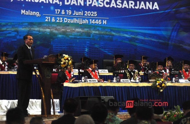 Hc Rauf Duta Besar Republik Indonesia untuk Mesir Dr. (HC) Lutfi Rauf, M.A saat ...
