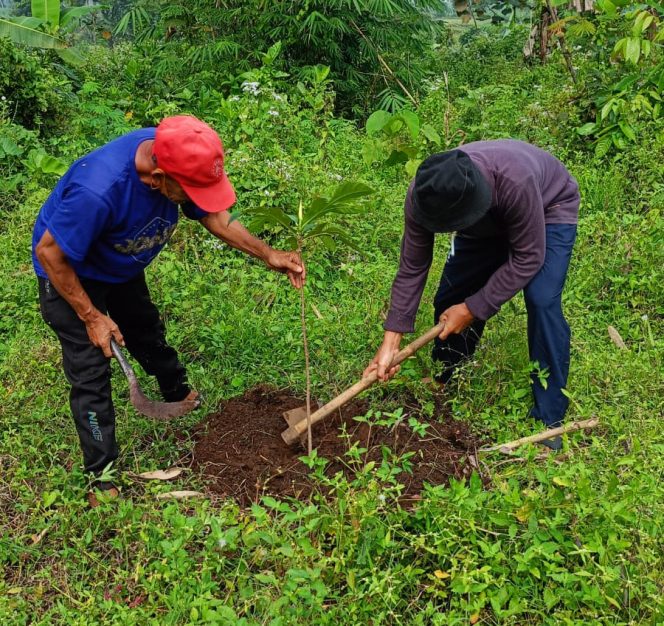
 Takmir Masjid Ismail Bedali, menggelar kegiatan penanaman pohon produktif di kawasan sumber mata air di lereng Arjuno.(ist)