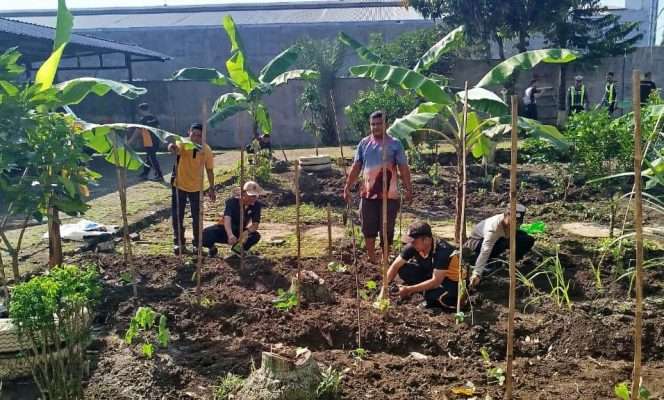 
 Anggota Polsek Blimbing sedang menanam uwi ungu, salah satu tanaman yang kaya manfaat. (ist)