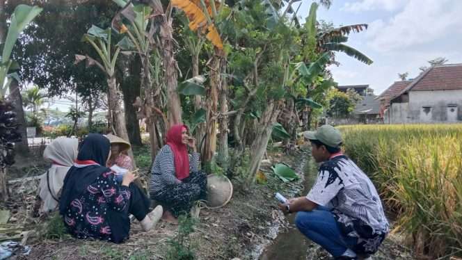 
 Aktivis DPC Gerakan Mahasiswa Nasional Indonesia (GMNI) Kabupaten Malang berada di lapangan melakukan ivestigasi, menemui salah seorang petani Tebu untuk bertanya tentang Program Bongkar Ratoon (keprasan). (Ulil for Baca Malang)