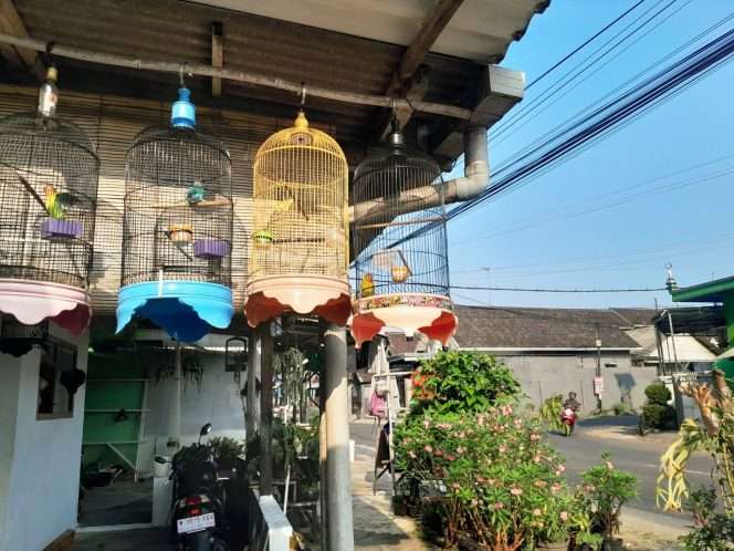 
 Lokasi kejadian pencurian burung Lovebird. (FB Arek Kepanjen)