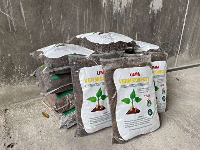 
 Pupuk organik hasil daur ulang sampah dapur karya mahasiswa UMM. (ist)