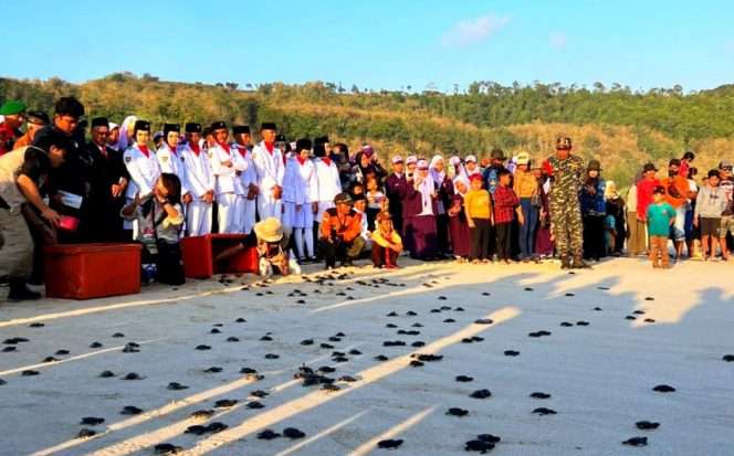 
 Salah satu foto arsip kegiatan yang digelar Yayasan Konservasi Penyu Jawa Timur (YKP Jatim) yang menjadi pendiri pusat konservasi Bajulmati Sea Turtle Conservation (BSTC), melakukan pelepasliaran tukik ke laut. (Sutari for Baca Malang)