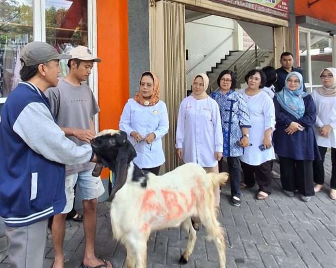 
 Penyerahan hewan kurban tersebut dilakukan secara simbolis oleh Ketua Kopwan SBW, Sri Untari Bisowarno, di kantor pusat koperasi setempat. (ist)