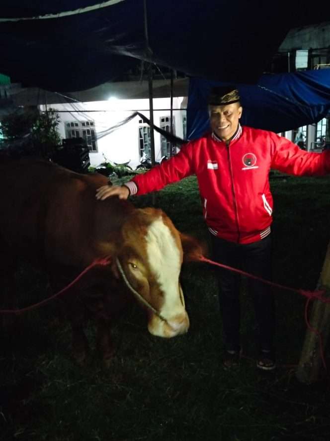 
 Sekretaris DPC PDI Perjuangan Kota Batu, H. Khamim Tohari, S.Sos saat tengah menerima hewan kurban sapi dari DPD Jatim. (Yan)