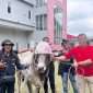 Ketua DPC PDI Perjuangan Kota Batu, Saifudin Zuhri, S.H.I bersama Sekretaris, H. Khamim Tohari, S. Sos saat sesi foto bersama sebelum penyembelihan. (Yan)