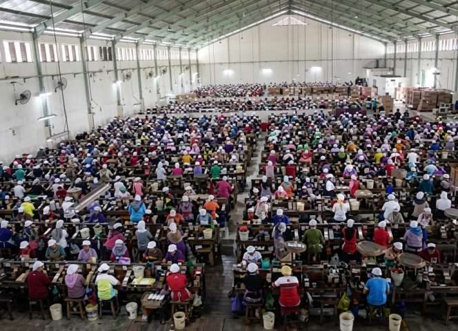 
 Karyawan pabrik rokok sedang melinting rokok. (dok merdeka. com)
