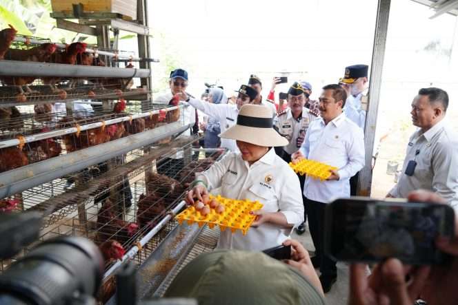 
 Ketua Komisi IV DPR RI, Titiek Soeharto didampingi Menteri Imigrasi dan Pemasyarakatan, Agus Andrianto, mengambil telur dari kandang peternakan ayam di Lapas Nusakambangan. (ist)
