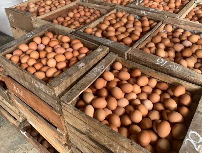 
 Telur ayam yang dijual Rina. (Rina for BacaMalang)