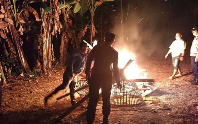 
 Polisi membongkar dan membakar diduga arena sabung ayam di Singosari Malang. (Humas Polres Malang)