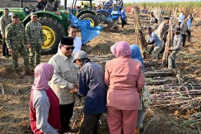 
 Presiden Prabowo Subianto di sela kegiatan, menyapa dan berdialog dengan sejumlah petani untuk mendengar pengalaman serta harapan mereka terhadap penguatan sektor pertanian nasional. (BPMI Setpres)