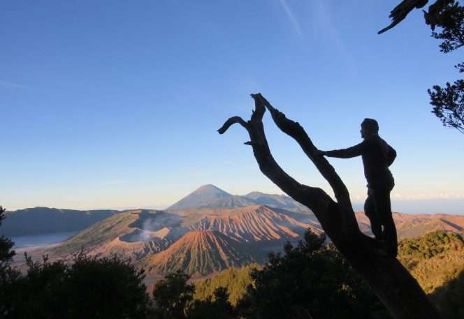 
 Panorama di kawasan wisata Bromo. Kawasan ini yang akan kembali dibuka untuk kunjungan mulai Kamis, (20/8/2026) pukul 00.01 WIB, setelah kebakaran yang melanda kawasan Taman Nasional Bromo Tengger Semeru (TNBTS) berhasil dipadamkan sepenuhnya. (Nedi Putra AW)
