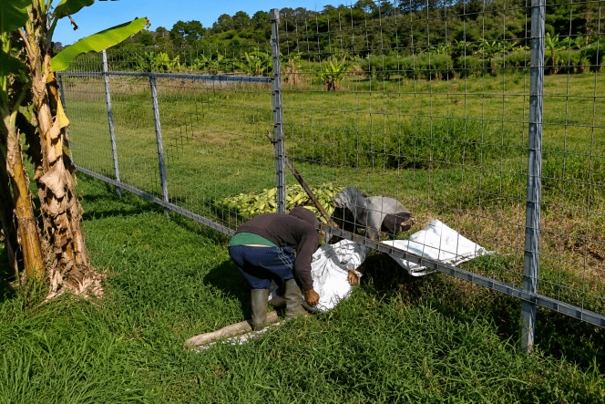 
 Para petani Songgoriti mengaku kesulitan akses jalan, saat tengah memanen jagung, namun terhalang dengan pagar besi yang dipasang oleh pihak LPMI Al-Izzah. (Yan)