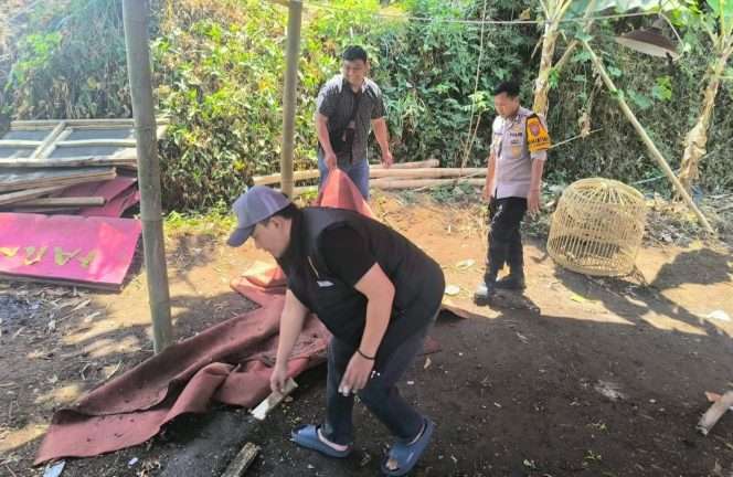 
 Personel Polres Malang membongkar arena sabung ayam di Dusun Ngudi, Desa Tawangargo, Kecamatan Karangploso, Kabupaten Malang, setelah menerima informasi dari masyarakat. (Humas Polres Malang)