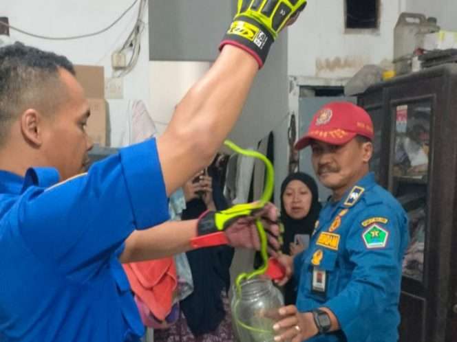 
 Personel Damkar Kota Malang saat mengamankan ular di rumah salah satu warga di Kota Malang. (ist)