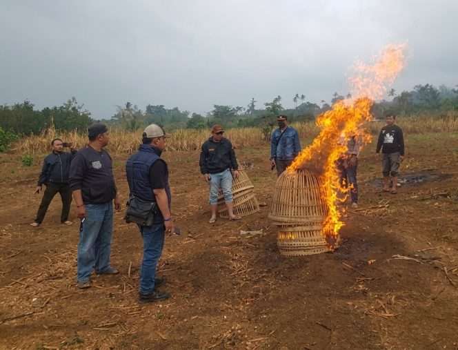 
 Polisi memusnahkan sejumlah sarana yang diduga digunakan untuk arena sabung ayam di Dusun Boro, Desa Donowarih, Karangploso, dengan cara dibakar setelah mendapat laporan masyarakat. (Humas Polres Malang)