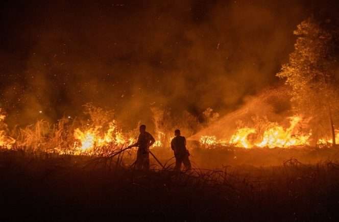 
 Pemadaman api di salah satu lokasi karhutla di Indonesia. (ist)