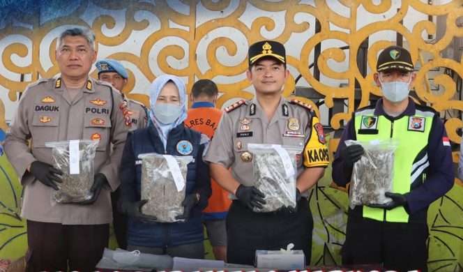 
 Kapolres Batu, AKBP Panji Gedhe Prabawa, S.H , S.I.K., M.A.P saat memimpin pemusnahan barang bukti Narkotika jenis ganja seberat  3.927,13 gram di TPA Tlekung. (Yan)
