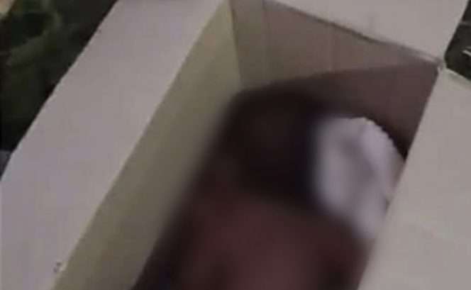 
 Bayi perempuan ditemukan warga di dalam kardus dalam kondisi masih hidup. (ist)