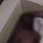 Bayi perempuan ditemukan warga di dalam kardus dalam kondisi masih hidup. (ist)