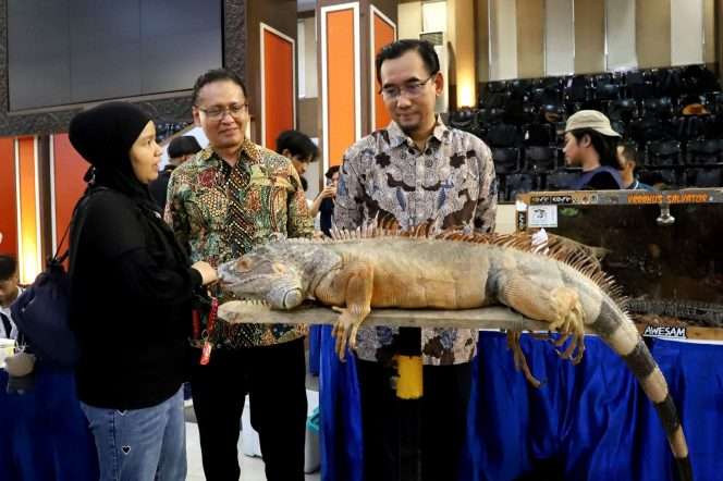 
 Rektor Universitas Brawijaya Prof. Widodo, didampingi Dekan Fakultas Sains dan Teknologi Peternakan (FAST) UB Prof. M. Halim Natsir saat meninjau salah satu stand satwa eksotik dalam Piala Rektor Prana Satwa Brawijaya 2026 di Gedung Samantha Krida UB, Sabtu (24/10/2026). (ist)