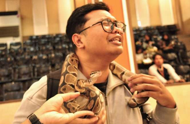 
 Seorang pengunjung mencoba bermain dengan satwa reptil ular dalam Piala Rektor Prana Satwa Brawijaya 2026 di Gedung Samantha Krida UB, Sabtu (24/10/2026). (Nedi Putra AW)